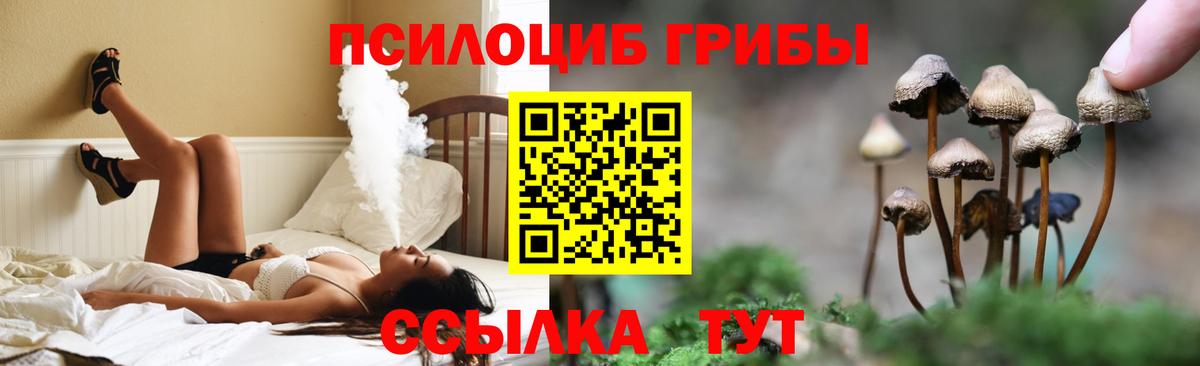 Донской  Галлюциногенные грибы мухоморы  Галлюциногенные грибы прущие грибы  Вход с VPN 